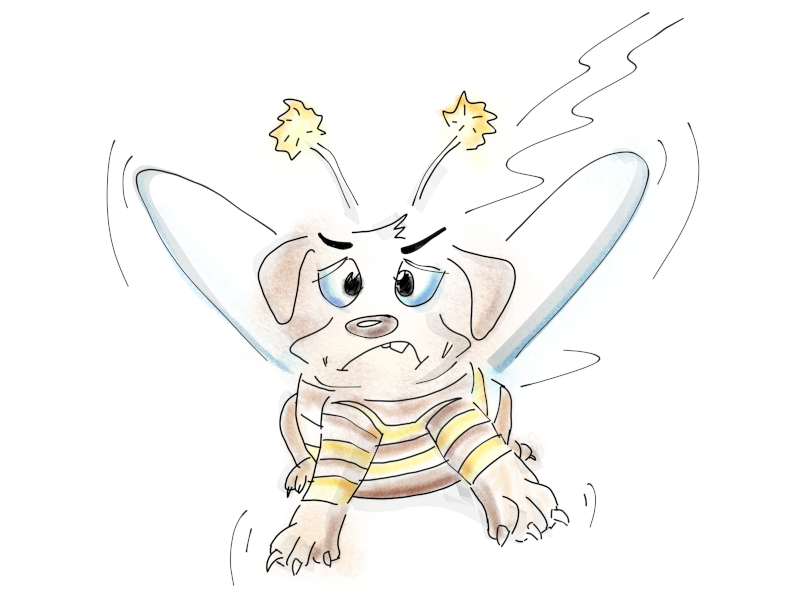 Der Bienenhund